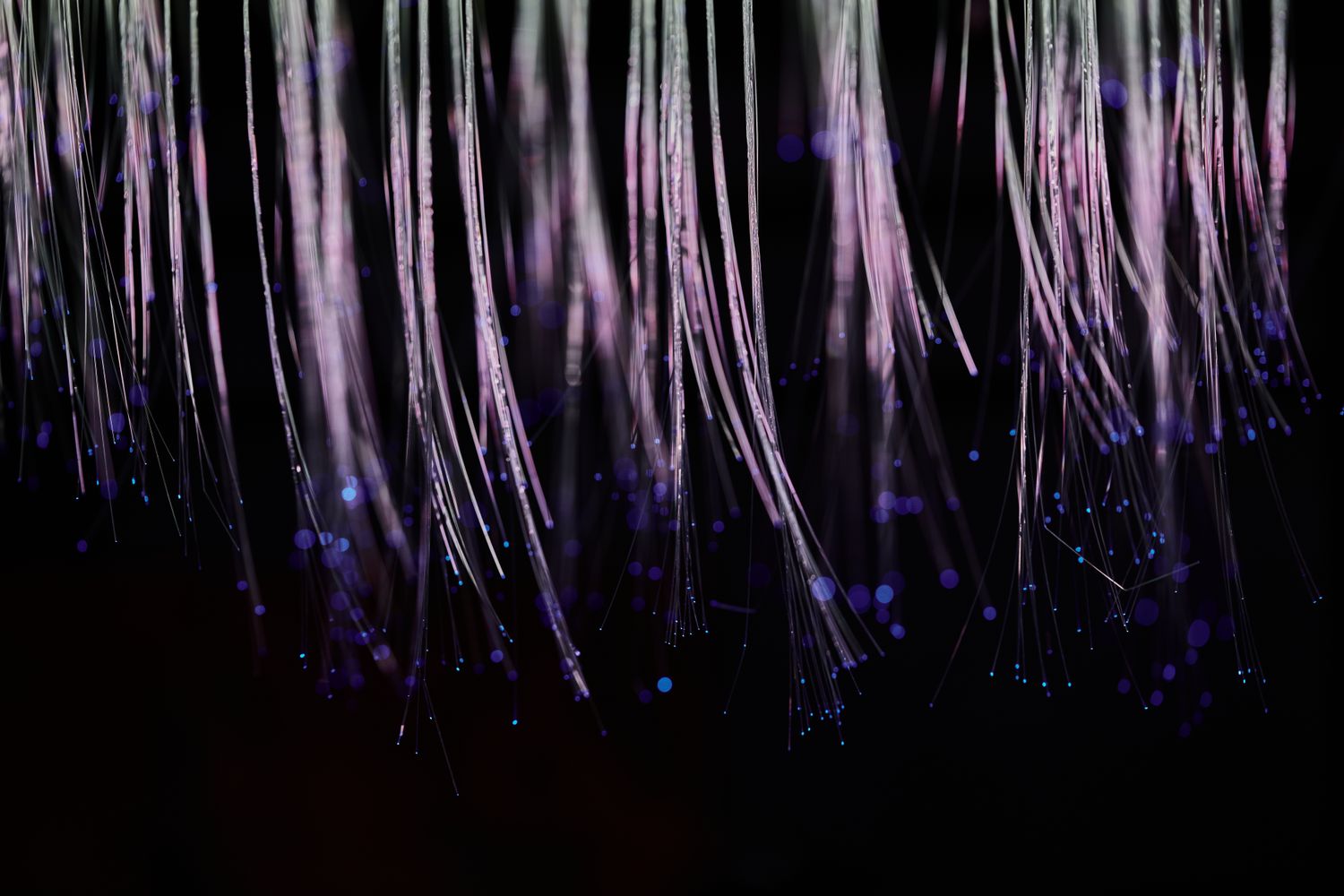 Brins de fibre optique illuminés en violet sur fond noir