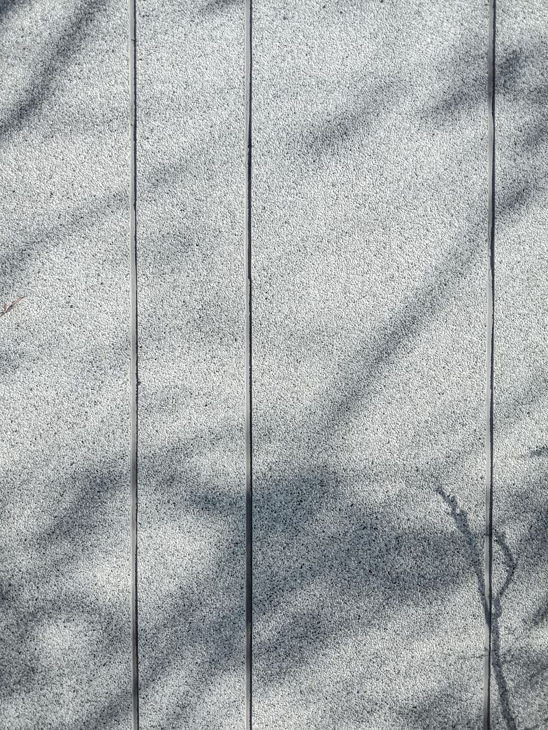 Panneaux de béton clair rythmés par leurs joints, sous l'ombre légère des branches