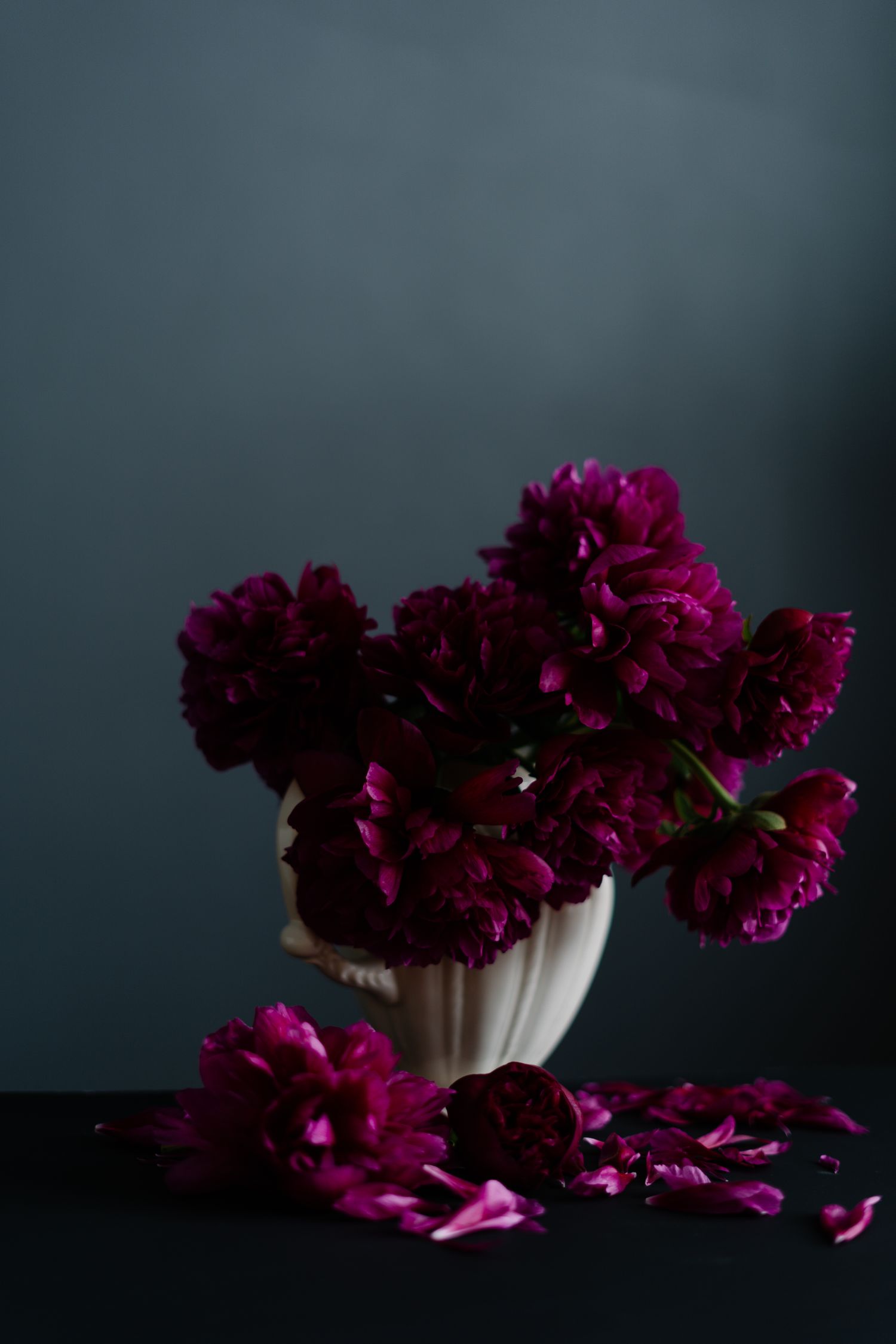 Pivoines couleur prune et pétales tombés, nature morte dans la pénombre